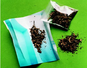 Cannabis grass / herbal