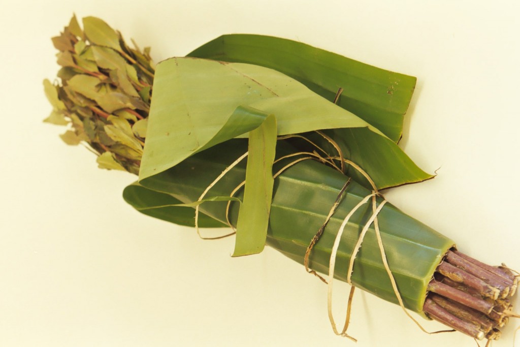 Khat drugsandstuff.co.uk